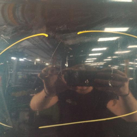 Porte arriere gauche RENAULT CLIO 2