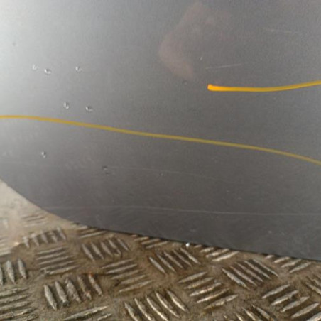 Porte arriere droit RENAULT GRAND MODUS