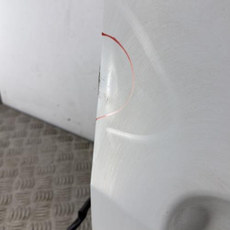 Porte de coffre gauche RENAULT KANGOO 2