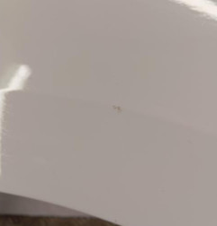 Aile avant droit VOLKSWAGEN POLO 5