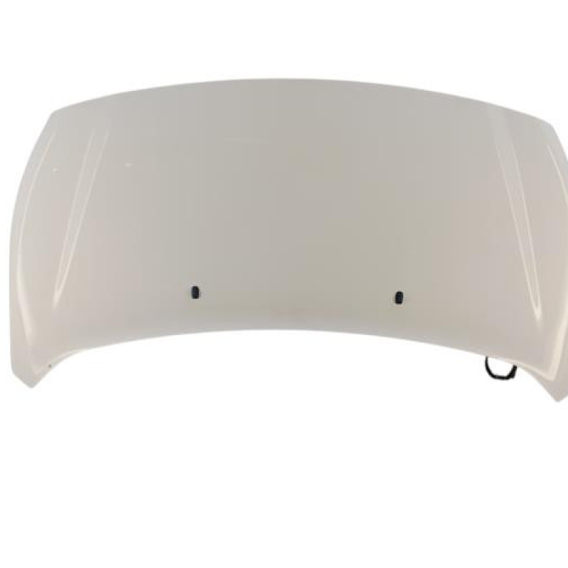 Capot FORD TRANSIT CONNECT 2