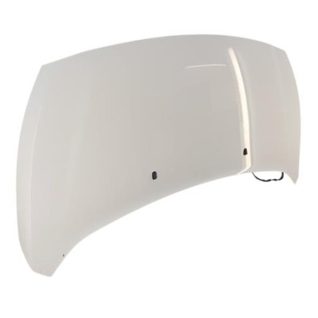 Capot FORD TRANSIT CONNECT 2