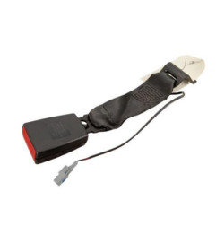 Attache ceinture arriere droit RENAULT TWINGO 3 Photo n°1