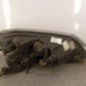 Optique avant principal gauche (feux)(phare) SEAT ALHAMBRA 2