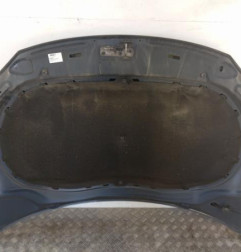 Capot VOLKSWAGEN TIGUAN 1 Photo n°3