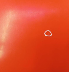 Capot CITROEN E-MEHARI Photo n°3