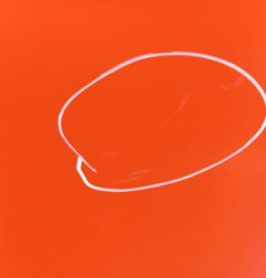 Capot CITROEN E-MEHARI Photo n°4