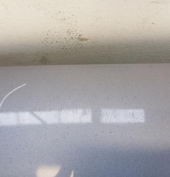 Malle/Hayon arriere RENAULT GRAND SCENIC 3