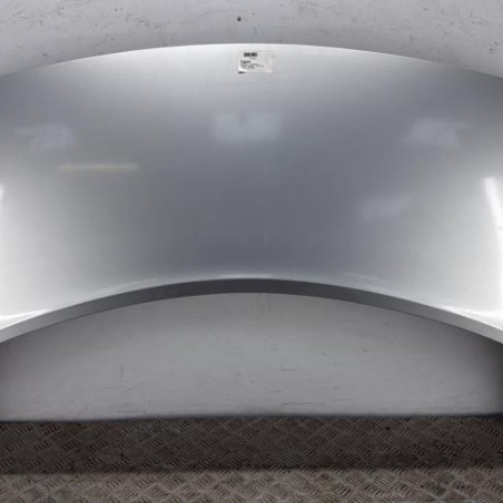 Capot RENAULT SCENIC 2 Photo n°1