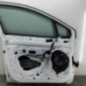 Porte avant gauche RENAULT CLIO 4