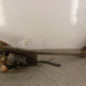 Moteur essuie glace avant CITROEN BERLINGO 1