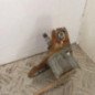 Moteur essuie glace avant CITROEN BERLINGO 1