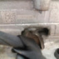 Moteur PEUGEOT 208 2