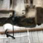 Moteur RENAULT KANGOO 2