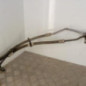 Tuyau hydraulique de direction assistee CITROEN JUMPY 3 M