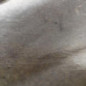 Boite de vitesses RENAULT CLIO 2