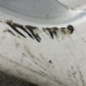 Aile avant droit RENAULT CLIO 3
