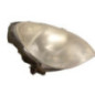 Optique avant principal droit (feux)(phare) CITROEN XSARA