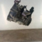 Boite de vitesses SEAT IBIZA 4