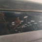 Pare choc arriere CITROEN C5 1