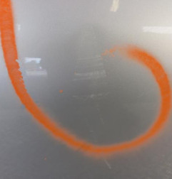 Porte avant droit RENAULT CLIO 4 Photo n°3