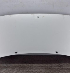 Capot PEUGEOT EXPERT 1 Photo n°1