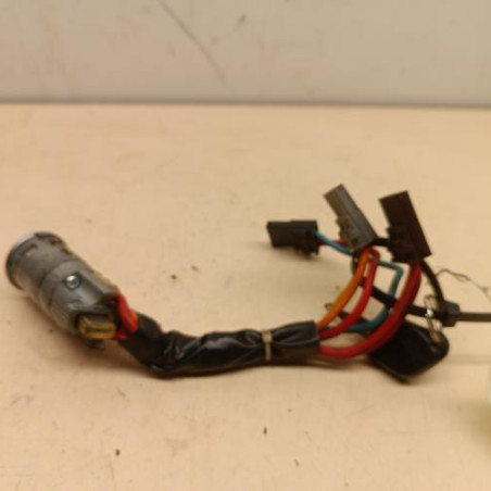 Neiman PEUGEOT 306 Photo n°1