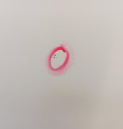 Porte avant droit MERCEDES CLASSE C 204 Photo n°3