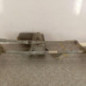 Moteur essuie glace avant RENAULT CLIO 2