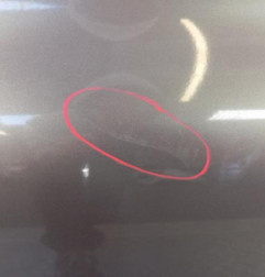 Porte arriere gauche RENAULT CLIO 2