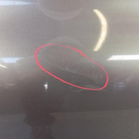 Porte arriere gauche RENAULT CLIO 2