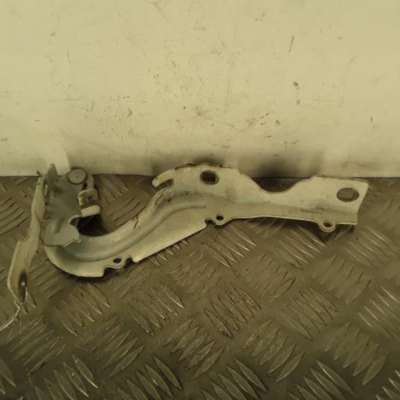 Charniere de capot CITROEN C3 3