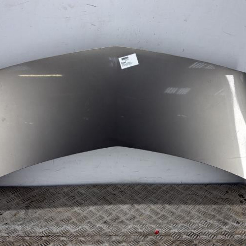 Capot RENAULT GRAND MODUS