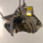 Boite de vitesses RENAULT CLIO 3