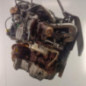 Moteur RENAULT CLIO 4