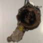 Boite de vitesses FIAT PANDA 2