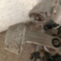 Boite de vitesses VOLKSWAGEN GOLF 7
