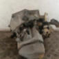 Boite de vitesses CITROEN C3 2