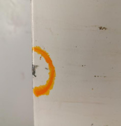 Porte de coffre droit FIAT DUCATO 3 Photo n°3