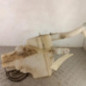 Vase de lave glace SUZUKI GRAND VITARA 2