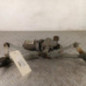 Moteur essuie glace avant RENAULT CLIO 3