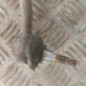 Cremaillere assistee CITROEN C3 3