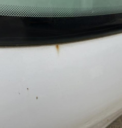 Malle/Hayon arriere PEUGEOT 206+