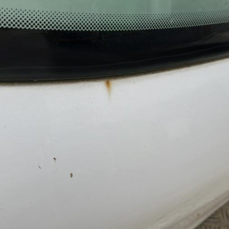 Malle/Hayon arriere PEUGEOT 206+