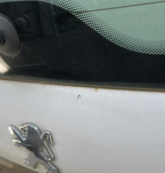 Malle/Hayon arriere PEUGEOT 206+ Photo n°3