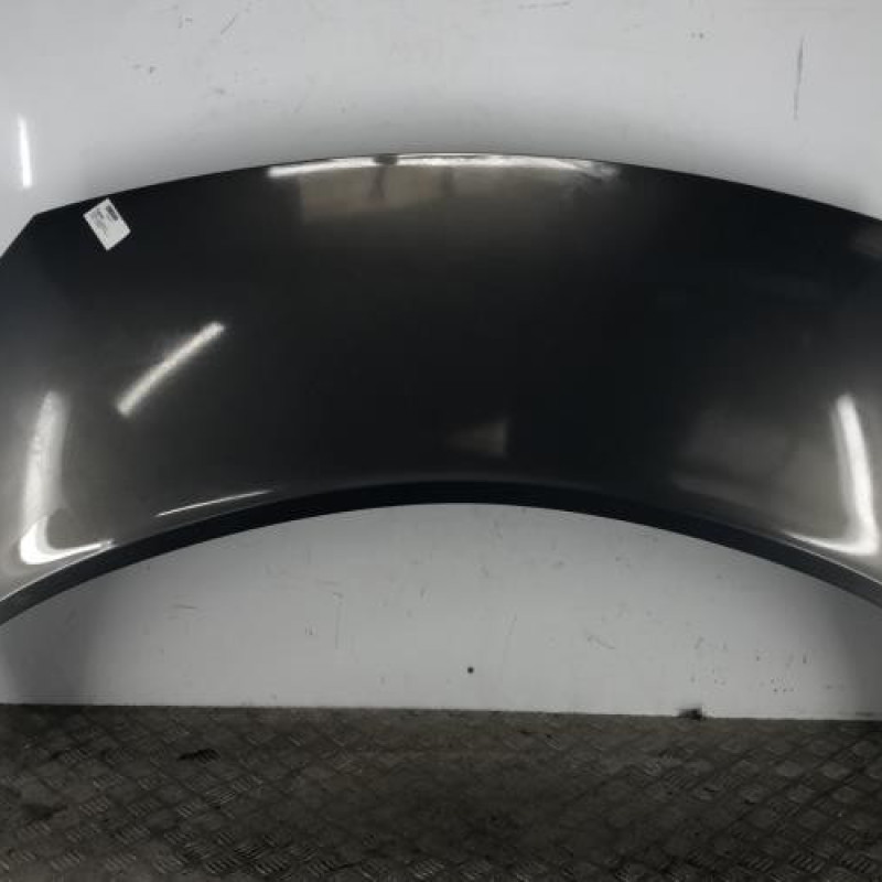 Capot RENAULT SCENIC 2