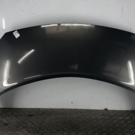 Capot RENAULT SCENIC 2 Photo n°1