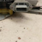 Leve vitre electrique avant gauche RENAULT KANGOO 2