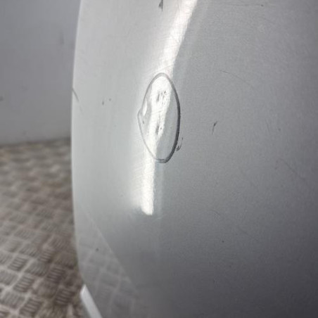 Porte arriere gauche SUBARU FORESTER 3