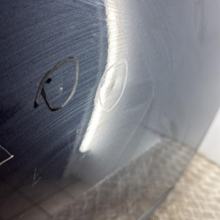 Porte avant droit RENAULT SCENIC 3